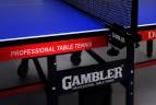 Теннисный стол StartLine GAMBLER DRAGON BLUE (Без сетки)