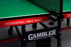 Теннисный стол StartLine GAMBLER DRAGON GREEN (Без сетки)